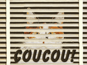 coucou